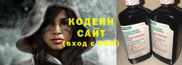 ешки Гусев