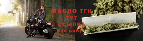 ешки Гусев